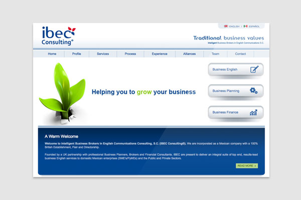 Ibec Consulting